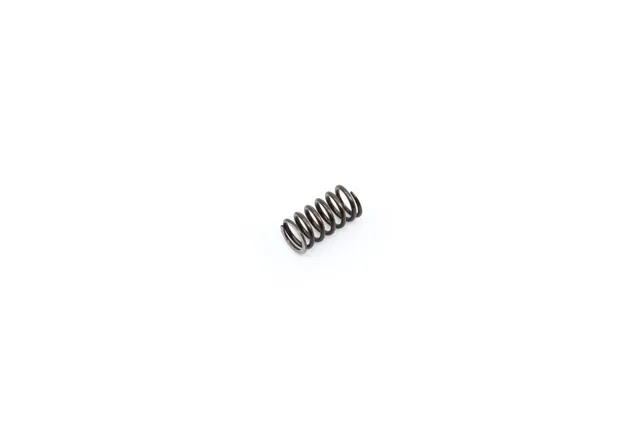Armanov 13844 molla ritegno disco per Dillon XL650